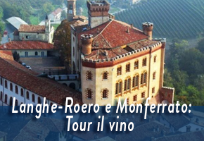 LANGHE - ROERO E MONFERRATO - Tour il vino